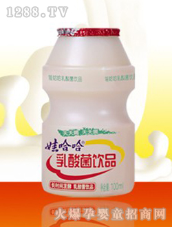 娃哈哈乳酸菌奶飲品